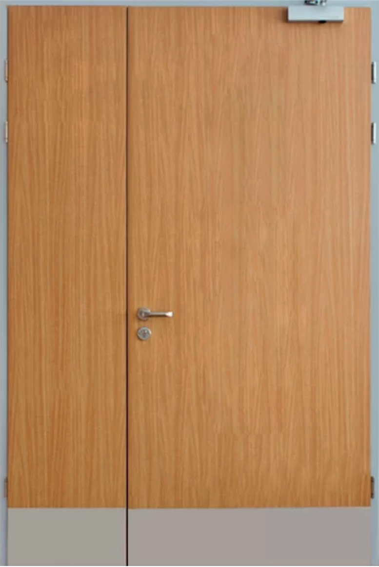 Противопожарная дверь EIS-30 глухая, двупольная